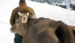 drei-winter-2022-film-rcm1200x627u