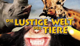 die-lustige-q2