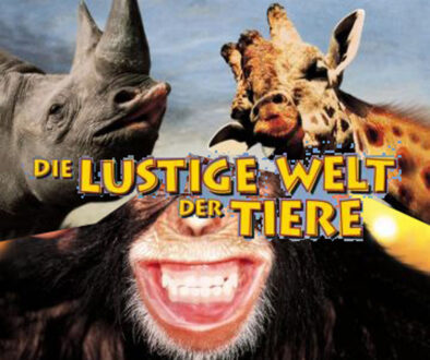 die-lustige-q2