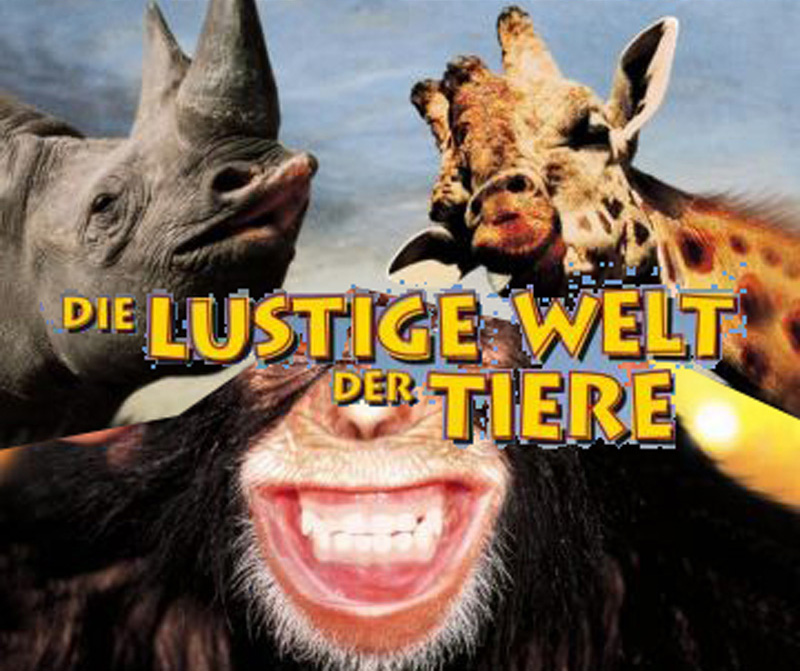 die-lustige-q2