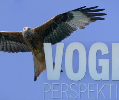 vogelperspektiven-b