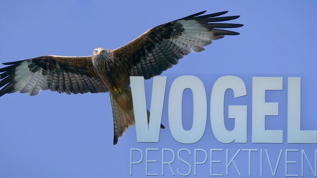 vogelperspektiven-b