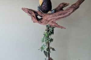 Paula Stolz : der Vogel