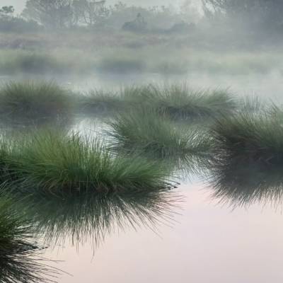 Titelbild_Bayerns-Wilde-Moore
