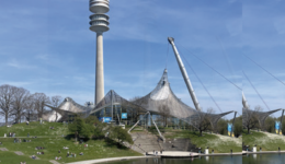 Neues Projekt (6)