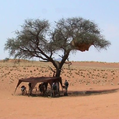 Namibia